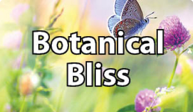 Botanical Bliss