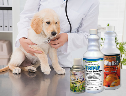Common Cleaning Mistakes Made in the Animal Care Industry